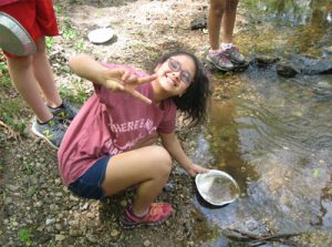 Creek Gold Panning